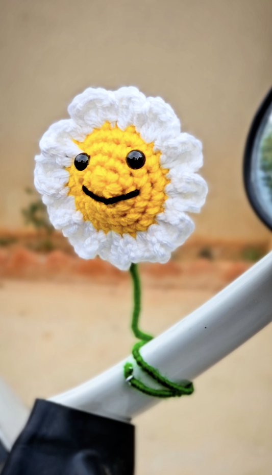 DaisyDot